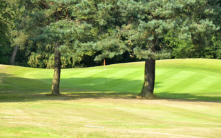 Photo of Meole Brace Golf Course