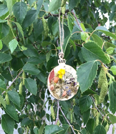 Bauble in a tree